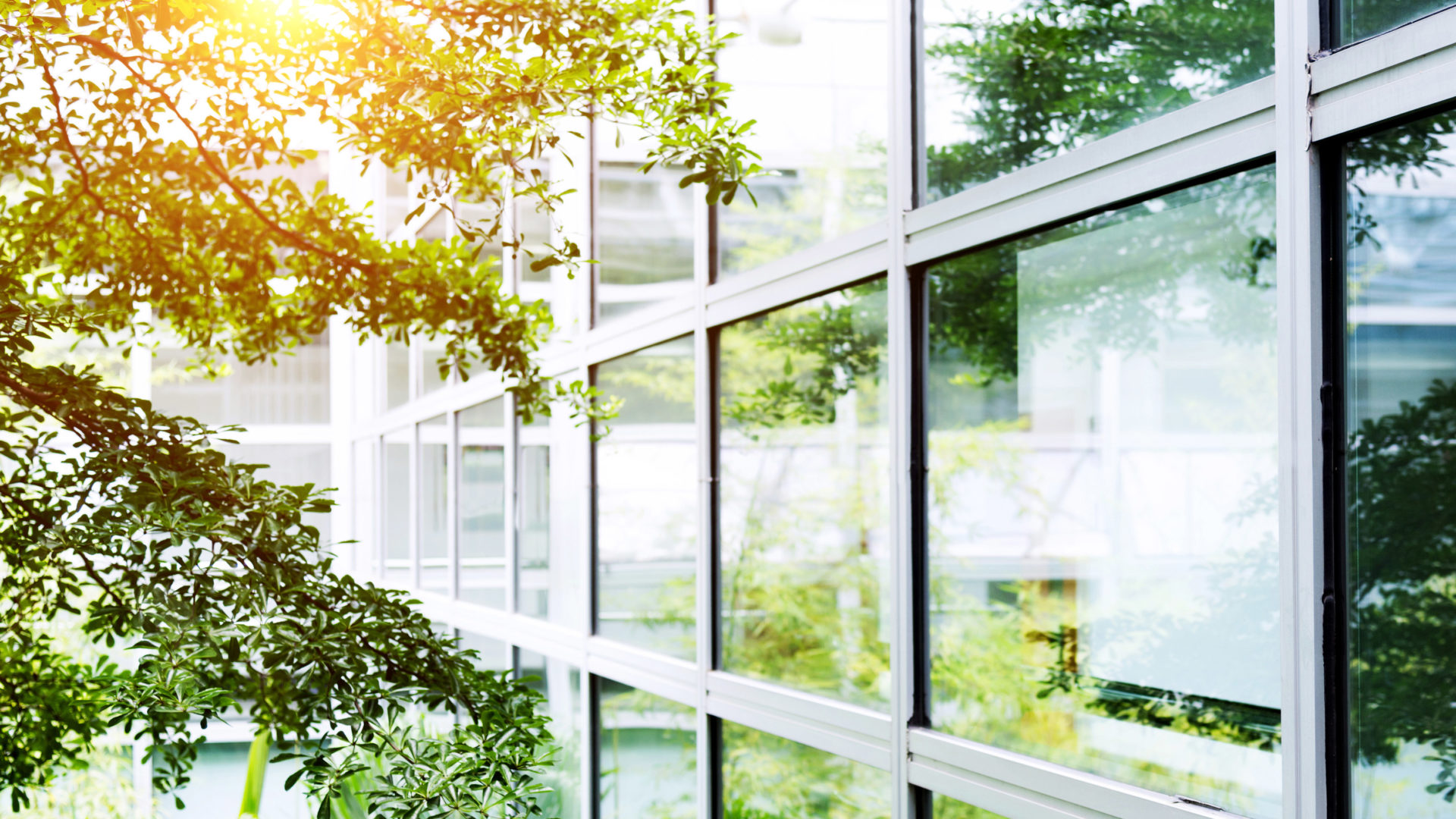 Eckensberger-Stiftung-Braunschweig